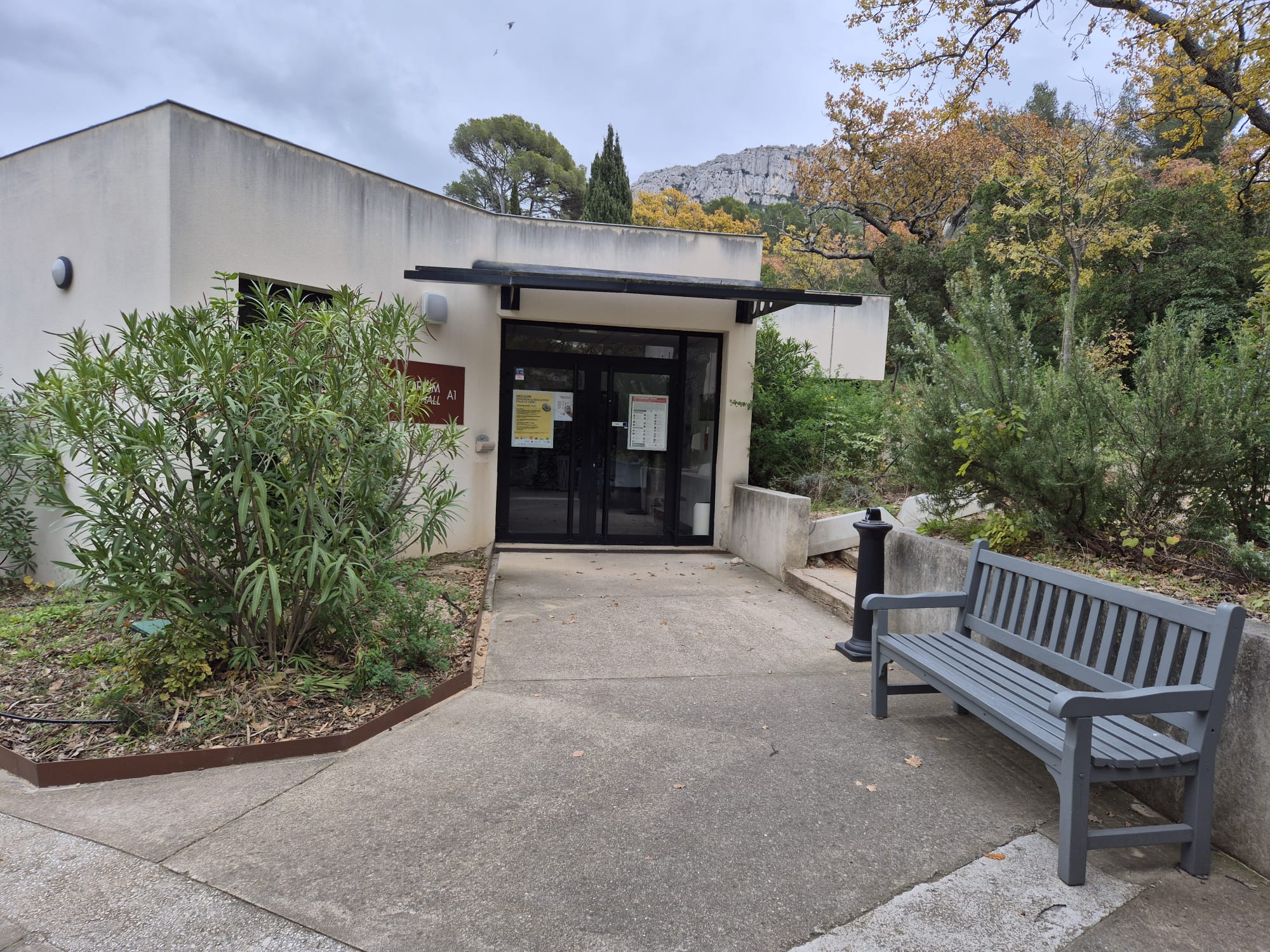 Description of the image